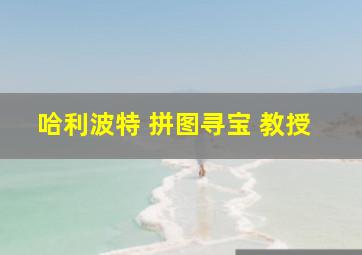 哈利波特 拼图寻宝 教授